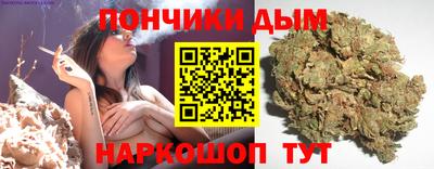 индика Ставрополь