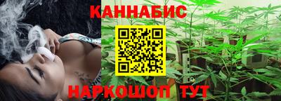 индика Ставрополь