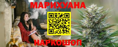 индика Ставрополь