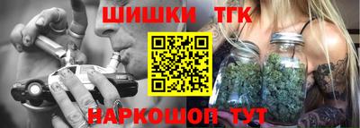 индика Ставрополь