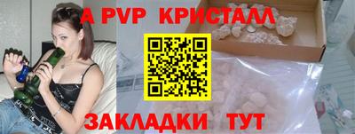 индика Ставрополь