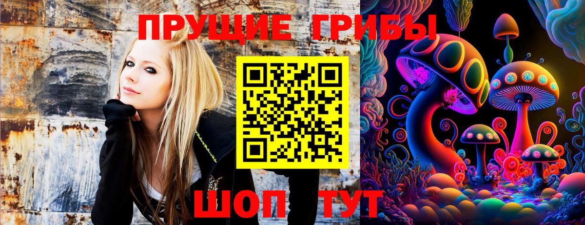 Галлюциногенные грибы MAGIC MUSHROOMS Россошь