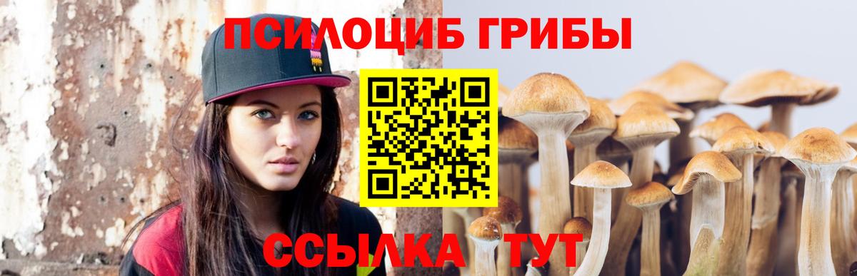Россошь  наркотики  Вход с VPN  Псилоцибиновые грибы Psilocybine cubensis 